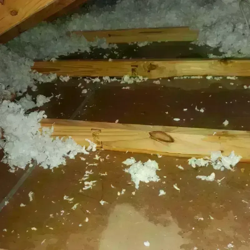 Attic Water Damage in Mountain Green, UT